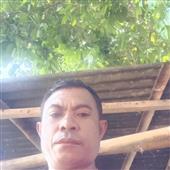 Bản