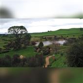 ti 