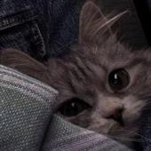 Đổi