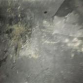 Ber
