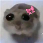 Siê