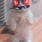 Chu