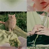 BXH