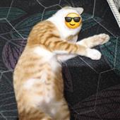 Vươ