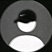 xì 
