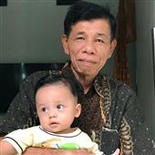 Giả