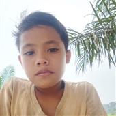 Biể