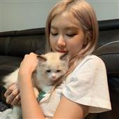 Bầu
