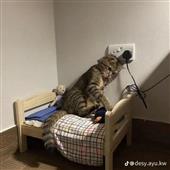 Câu