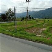 Bản