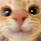 Yab