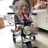 Bản