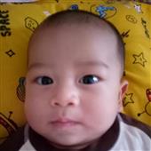 Giả