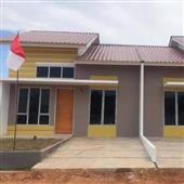 NGỰ