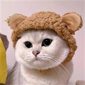Tất