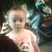 Bản