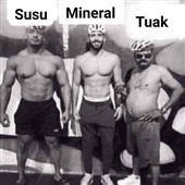 Trự