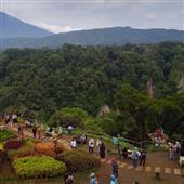 Vận