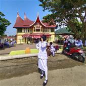 Mơ 