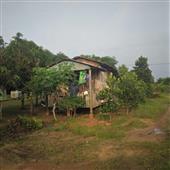 Bản