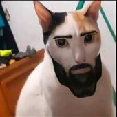 How