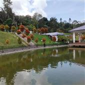 Đại