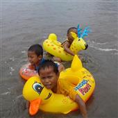 Sự 