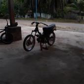 Hợp