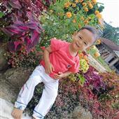 Fli