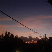 Vật