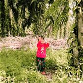 Tiề