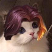 Kèo