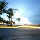 Trự
