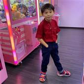 Lịc