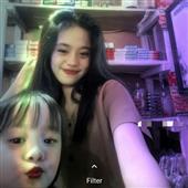 Gấu