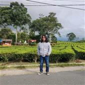 Dập