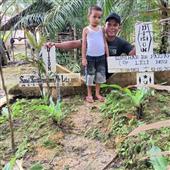 Dự 