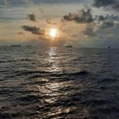 Dự