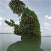đội