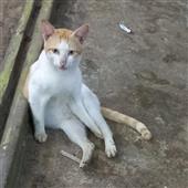 Lễ 