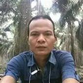 Dự 
