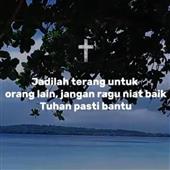 Fin