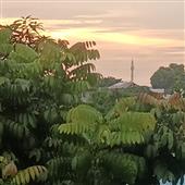 Tài
