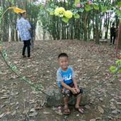 RỒN
