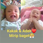 Ngh
