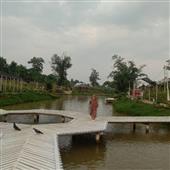Kèo
