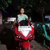 Giả