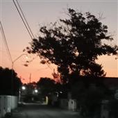 Giả