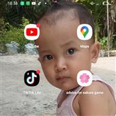 Biể