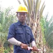 Dự 